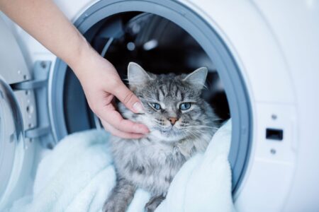 Hoe vaak moet je eigenlijk de wasmachine schoonmaken?